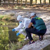 Muere una niña de nueve años al caer a un estanque en La Muralla de Caravaca, Murcia