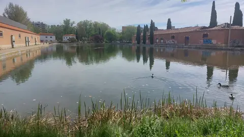 La propiedad de terrenos en los entornos de la Dársena rechaza la propuesta ofrecida por el Ayuntamiento para el PERI .