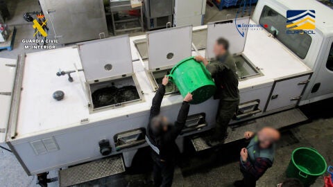 Operaci&oacute;n "Frigitu"