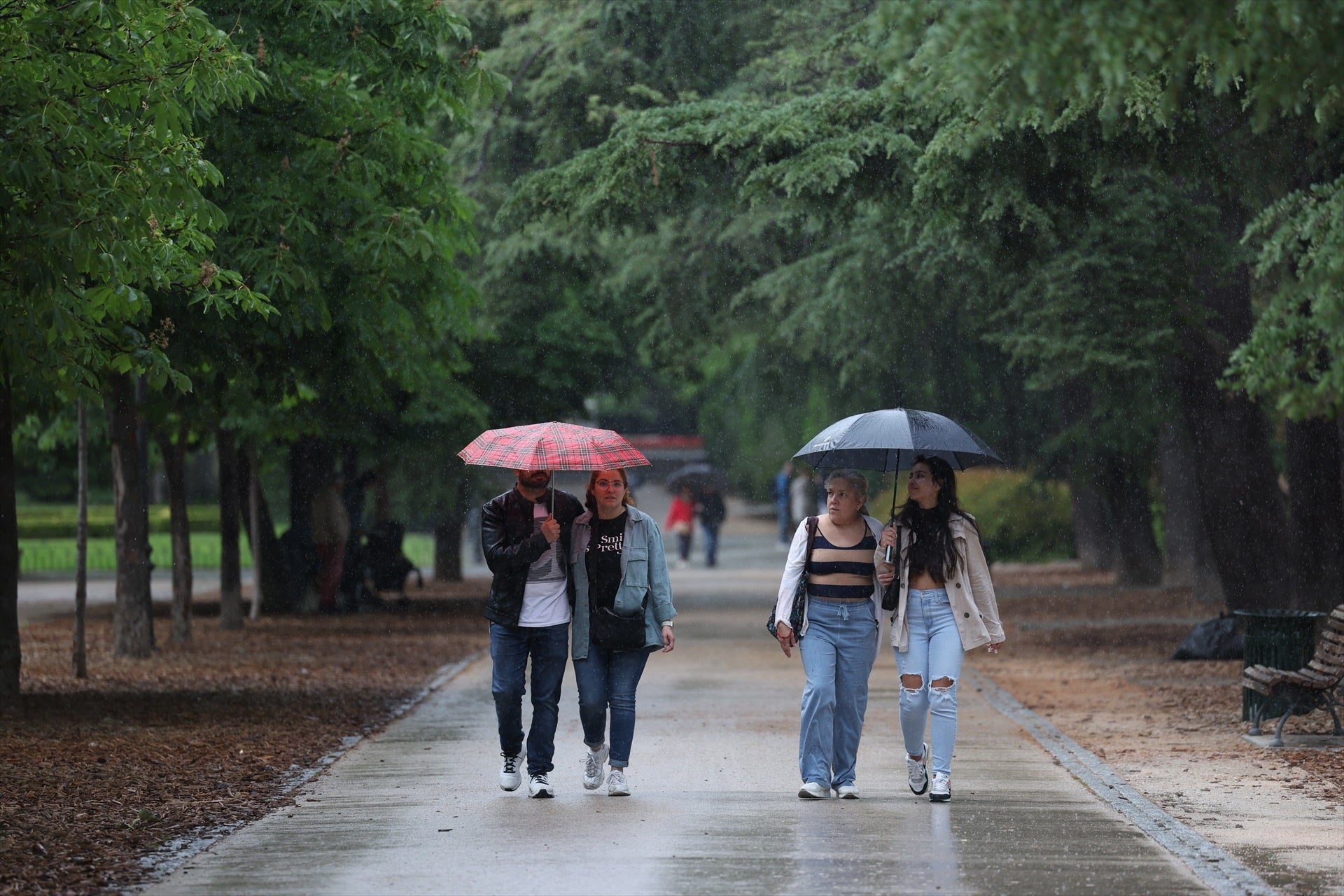 El Retiro y otros ocho parques cerrarán desde las 12 por fuertes rachas de viento El Retiro y otros ocho parques cerrarán desde las 12 por fuertes rachas de viento