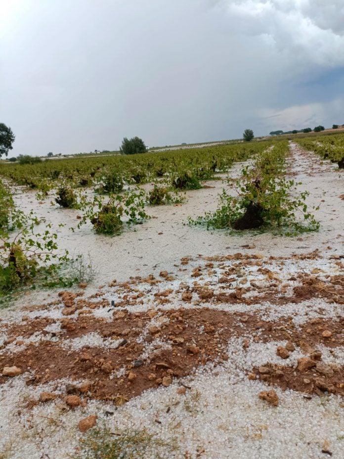 La DANA dejó ayer 37 incidentes en la provincia, 34 litros en Alcázar y 12 en Ciudad Real La DANA dejó ayer 37 incidentes en la provincia, 34 litros en Alcázar y 12 en Ciudad Real