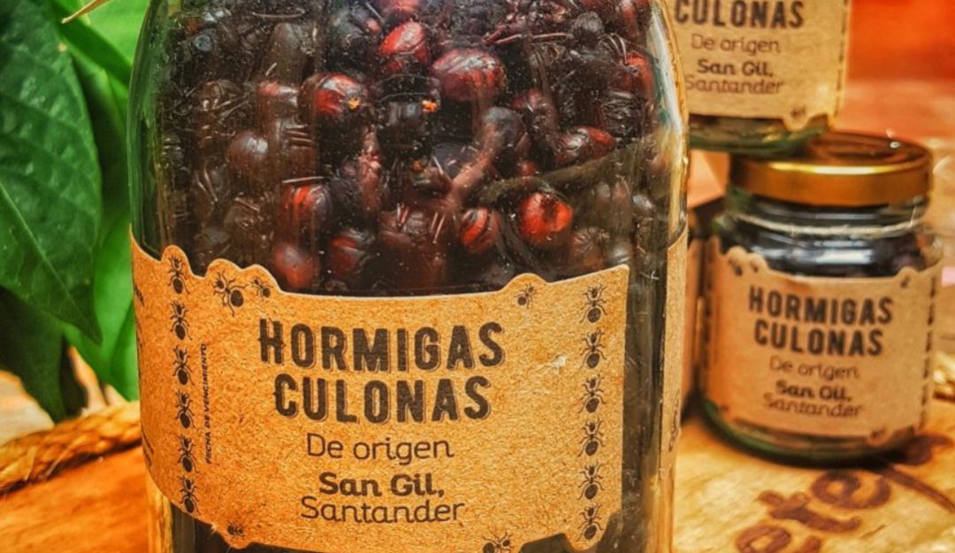 Insectos... ¿el alimento del futuro? Insectos... ¿el alimento del futuro?