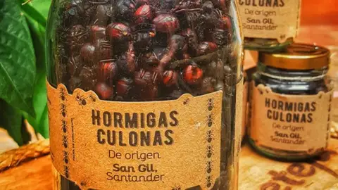 https:caracol.com.co/emisora/2020/04/04/bucaramanga/1586012129_842842.html https:caracol.com.co/emisora/2020/04/04/bucaramanga/1586012129_842842.html