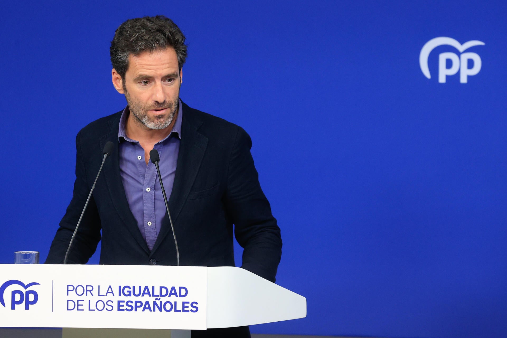 Borja Sémper: "En cuanto la amnistía esté aprobada van a volver a impulsar su proyecto independentista" Borja Sémper: "En cuanto la amnistía esté aprobada van a volver a impulsar su proyecto independentista"