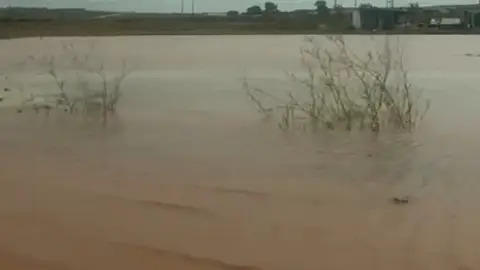 Campos anegados por la DANA del 3 de septiembre de 2023 Campos anegados por la DANA del 3 de septiembre de 2023