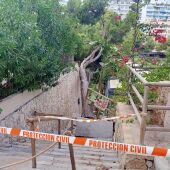 La DANA provoca caída de ramas y árboles en Mallorca, como en el caso de Calvià
