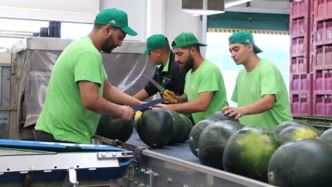 Trabajadores empresa Mercomancha (Manzanares)