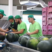 Trabajadores empresa Mercomancha (Manzanares) Trabajadores empresa Mercomancha (Manzanares)