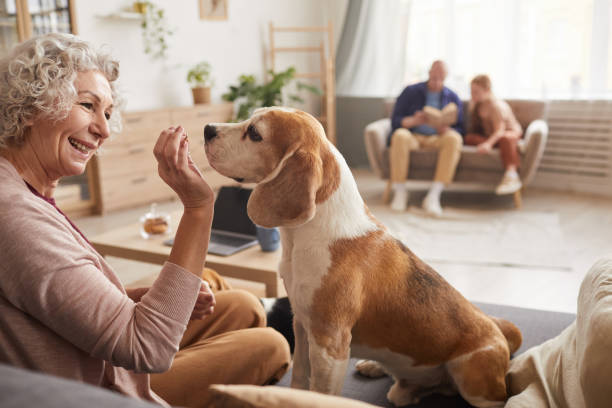 ¿Conoces los beneficios de las mascotas para las personas mayores? ¿Conoces los beneficios de las mascotas para las personas mayores?