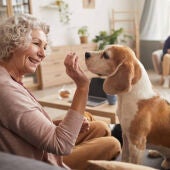 ¿Conoces los beneficios de las mascotas para las personas mayores? 