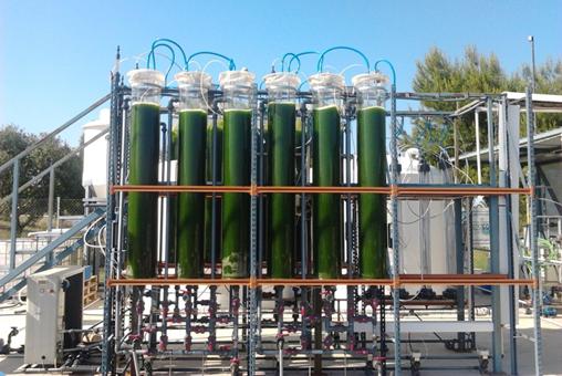 Expertos proponen el cultivo rentable y sostenible de microalgas para desnitrificar el subsuelo en el Mar Menor Expertos proponen el cultivo rentable y sostenible de microalgas para desnitrificar el subsuelo en el Mar Menor