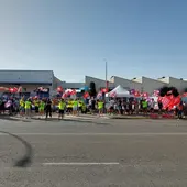 Imagen de una de las jornadas de huelga en Brahm-Manzanares Imagen de una de las jornadas de huelga en Brahm-Manzanares