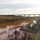 El río Jabalón corriendo, entra agua en el pantano de La Cabezuela El río Jabalón corriendo, entra agua en el pantano de La Cabezuela