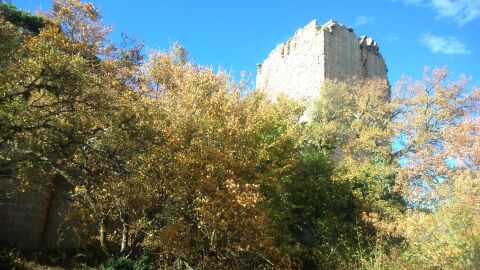 Castillo de Roita