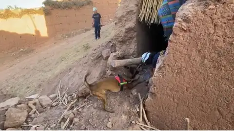 GEA Alicante Terremoto Morruecos