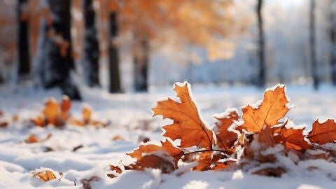 Durante el oto&ntilde;o, bajan las temperaturas y llega el fr&iacute;o 
