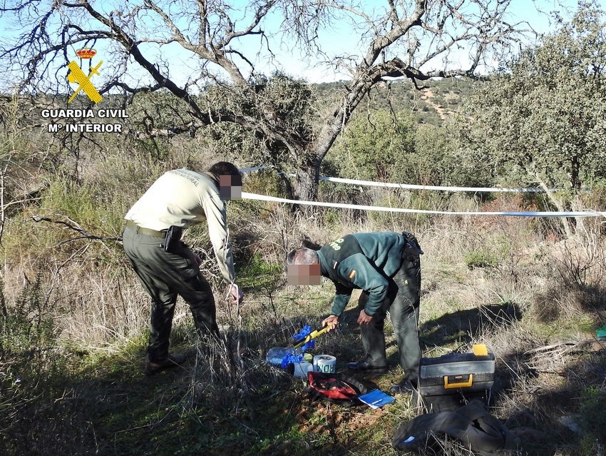 La Guardia Civil investiga a un vecino de Azuaga por negligencia, al causar la muerte de dos milanos reales La Guardia Civil investiga a un vecino de Azuaga por negligencia, al causar la muerte de dos milanos reales