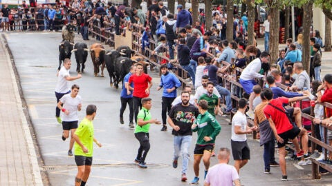 Encierros de Almod&oacute;var del Campo