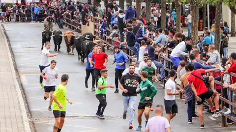 Encierros de Almodóvar del Campo Encierros de Almodóvar del Campo