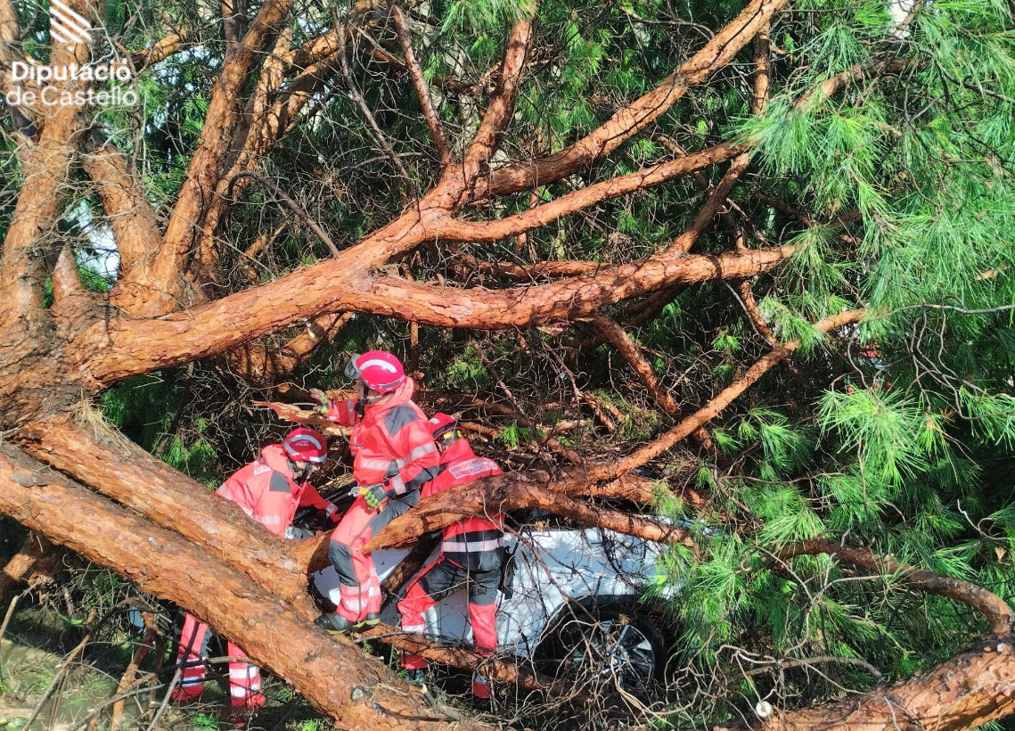 El temporal azota Borriana: coches en cunetas, árboles caídos y clases suspendidas El temporal azota Borriana: coches en cunetas, árboles caídos y clases suspendidas