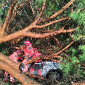 El temporal azota Borriana: coches en cunetas, árboles caídos y clases suspendidas