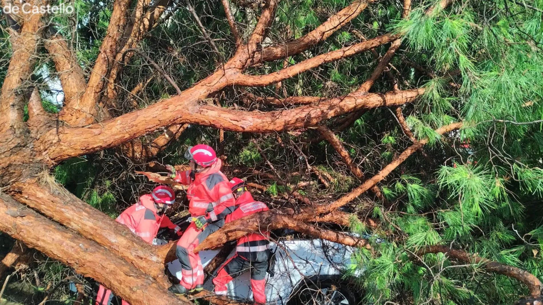 El temporal azota Borriana: coches en cunetas, árboles caídos y clases suspendidas