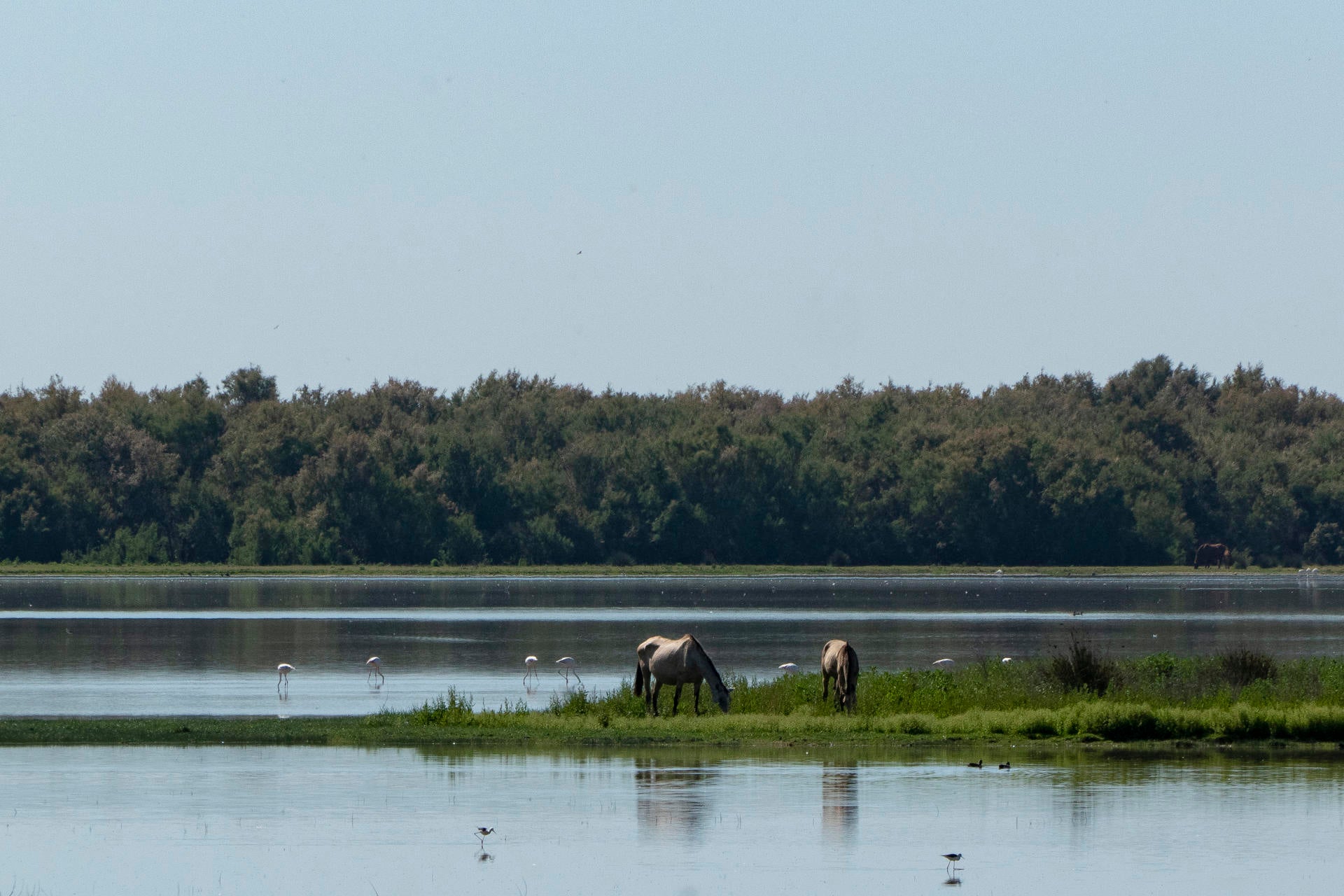 La Junta de Andalucía advierte de que la sequía podría hacer perder a la región hasta un 7% del PIB La Junta de Andalucía advierte de que la sequía podría hacer perder a la región hasta un 7% del PIB