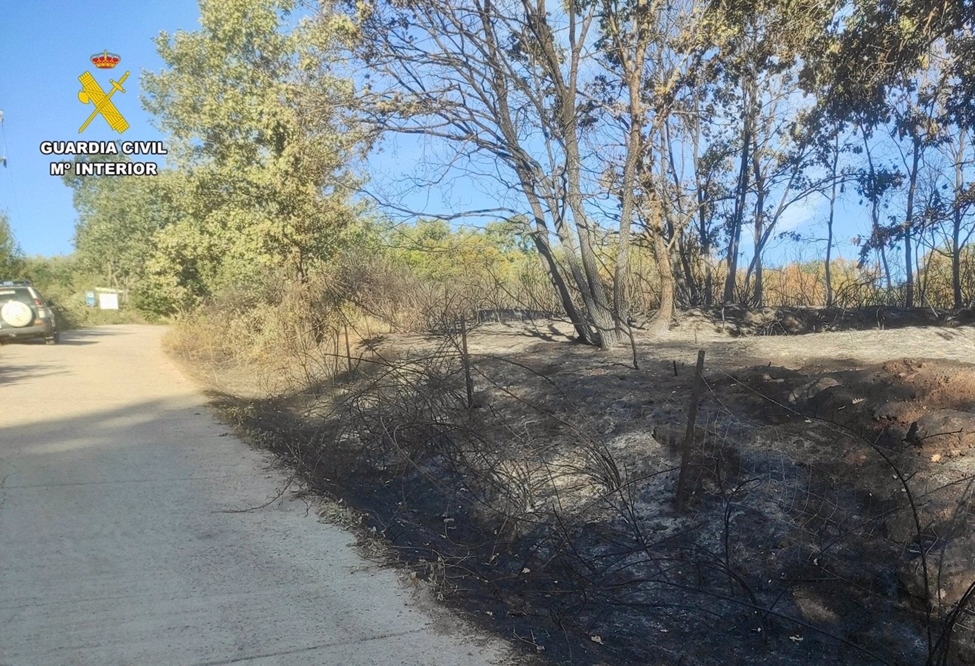Investigan a un vecino de Jaraíz de la Vera reincidente como autor de un incendio forestal en la localidad Investigan a un vecino de Jaraíz de la Vera reincidente como autor de un incendio forestal en la localidad
