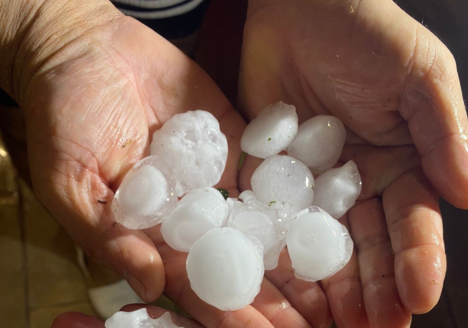 Las últimas lluvias y tormentas provocan daños en unas 18.000 hectáreas de cultivo en la Comunitat Valenciana Las últimas lluvias y tormentas provocan daños en unas 18.000 hectáreas de cultivo en la Comunitat Valenciana