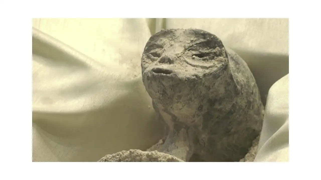 El Congreso de México presenta dos cuerpos "no humanos" piden reconocer la vida extraterrestre El Congreso de México presenta dos cuerpos "no humanos" piden reconocer la vida extraterrestre