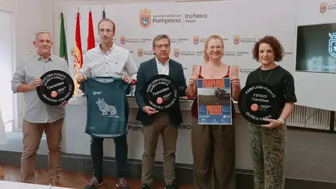 P2P | Pamplona - Puente La Reina P2P | Pamplona - Puente La Reina