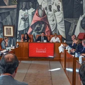 Pleno de la Diputación de Ciudad Real Pleno de la Diputación de Ciudad Real