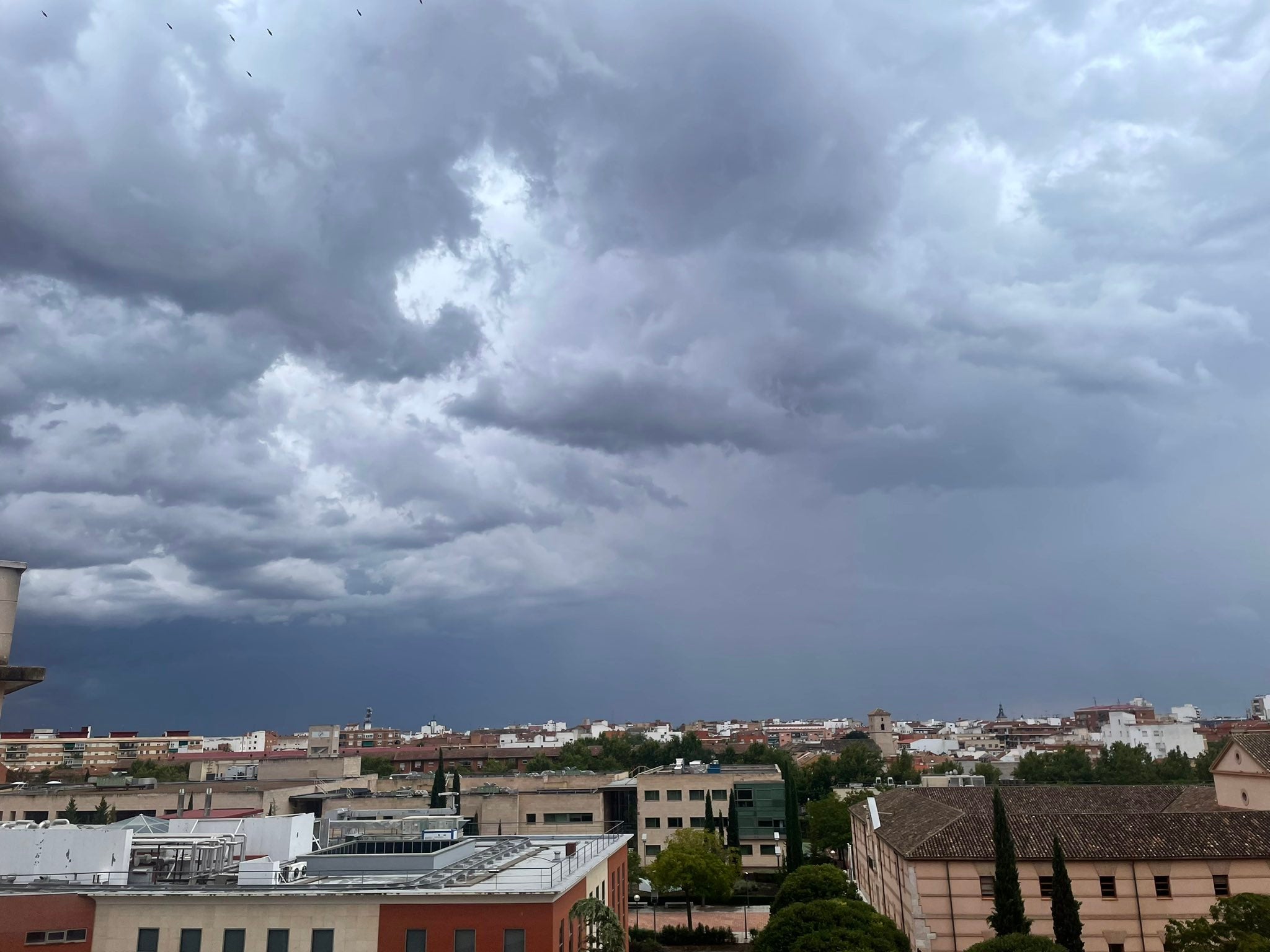 Balance de la borrasca: 36 litros en Almadén y más de 30 en Puebla de Don Rodrigo, Cabañeros y Ciudad Real Balance de la borrasca: 36 litros en Almadén y más de 30 en Puebla de Don Rodrigo, Cabañeros y Ciudad Real