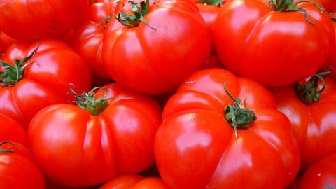 Una nueva via permite crear tomates resistentes a plantas parasitas sin afectar a su crecimiento