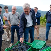 Rueda destaca o valor que xera o sector vitivinícula en Galicia Rueda destaca o valor que xera o sector vitivinícula en Galicia