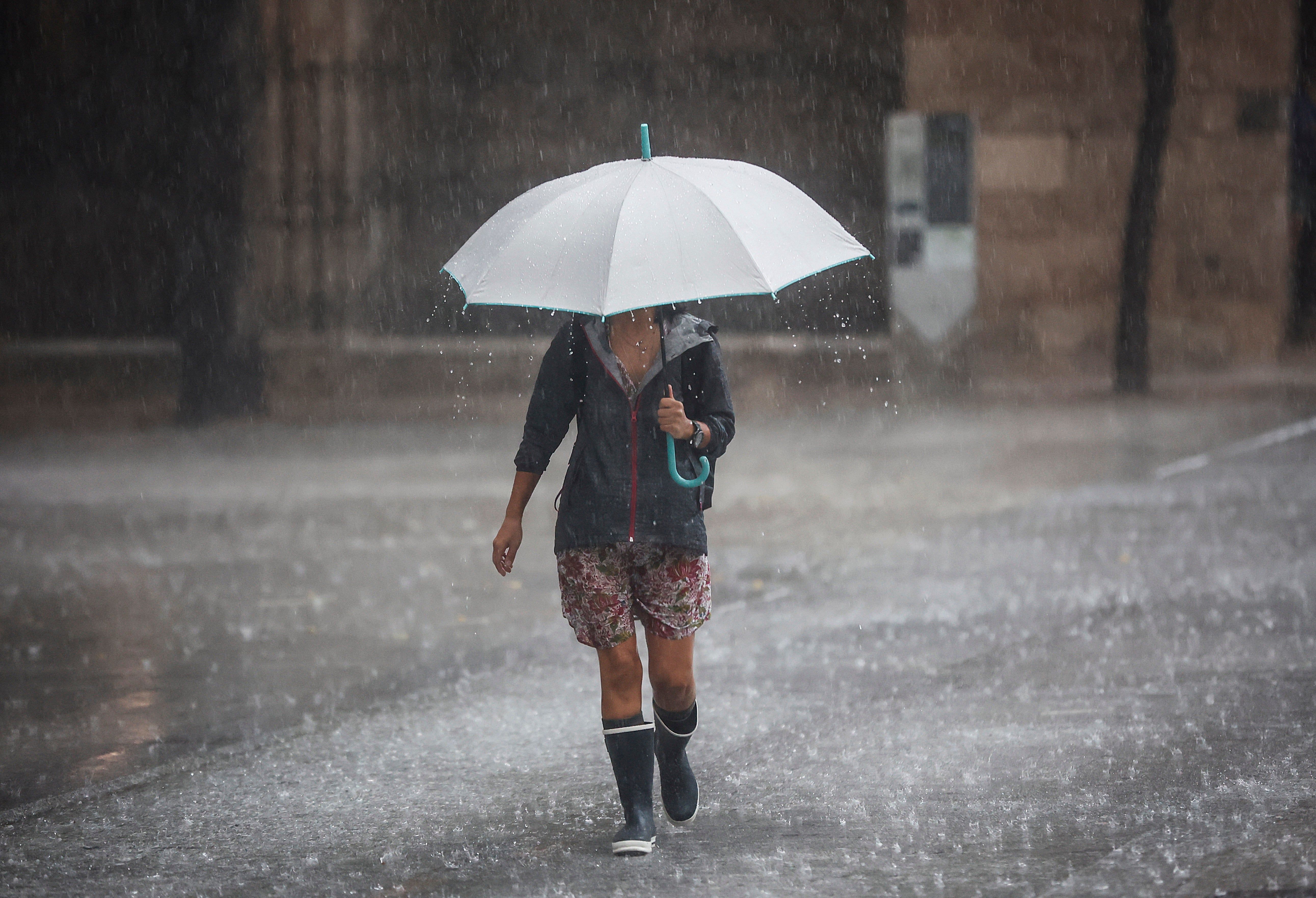 La DANA pone en riesgo por fuertes lluvias y tormentas a varias comunidades: Estas son las zonas más afectadas La DANA pone en riesgo por fuertes lluvias y tormentas a varias comunidades: Estas son las zonas más afectadas