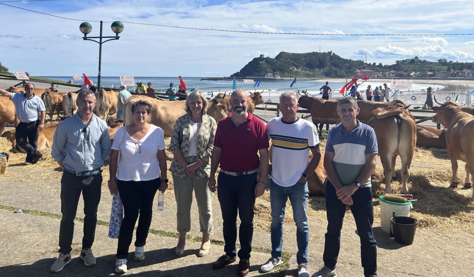 Los mejores ejemplares de las razas Asturiana de los Valles, Asturiana de la Montaña y Frisona se dieron cita este domingo en Ribadesella Los mejores ejemplares de las razas Asturiana de los Valles, Asturiana de la Montaña y Frisona se dieron cita este domingo en Ribadesella