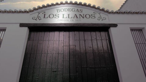 Bodega Los Llanos