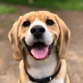 El cambio de última hora en la Ley animal y que afecta al nuevo seguro para perros El cambio de última hora en la Ley animal y que afecta al nuevo seguro para perros