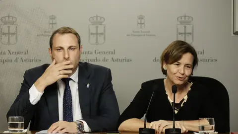 Carmen Moriyón propondrá en 'Gijón al Norte' mantener el parque del plan de vías Carmen Moriyón propondrá en 'Gijón al Norte' mantener el parque del plan de vías