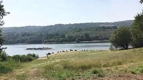 andaina andaina