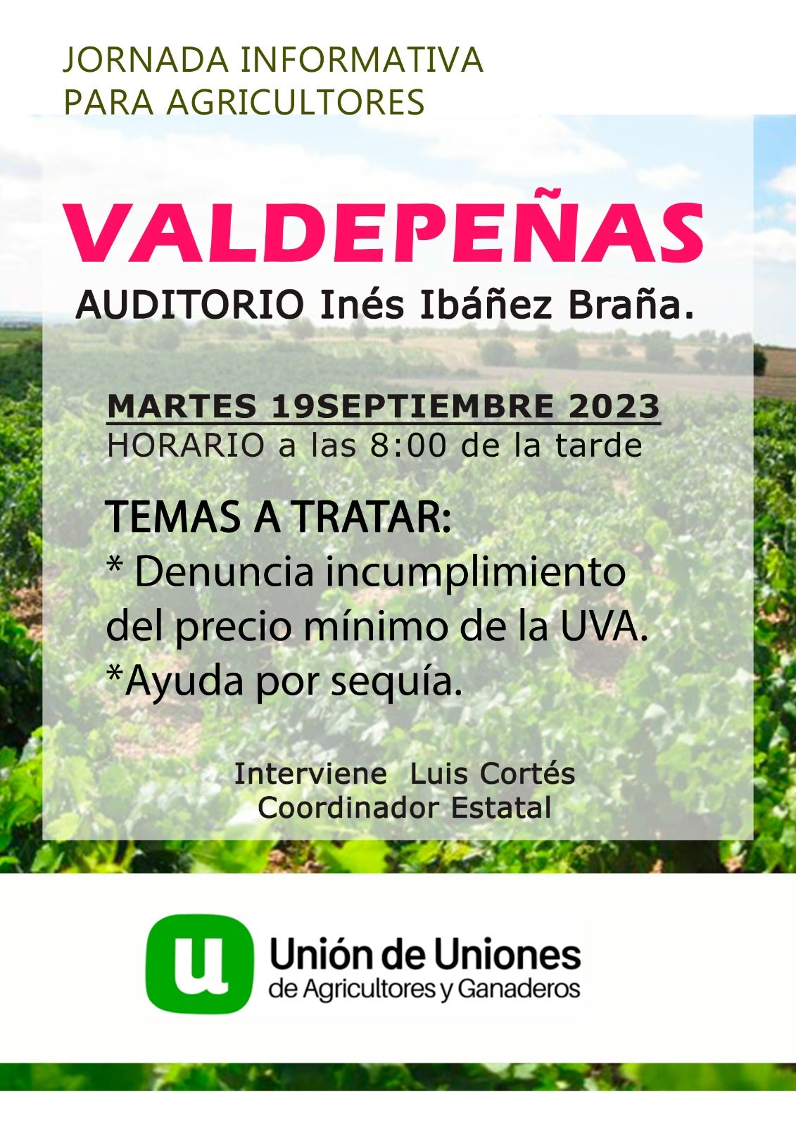 Desde Unión de Uniones de Agricultores y Ganaderos han manifestado sus sospechas de un pacto en los precios de la uva Desde Unión de Uniones de Agricultores y Ganaderos han manifestado sus sospechas de un pacto en los precios de la uva