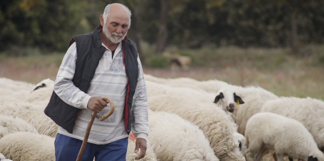 El Ecosistema de Innovación Social del Cerrato Palentino empieza su segunda edición con el estreno del documental "Semillas del Cerrato" El Ecosistema de Innovación Social del Cerrato Palentino empieza su segunda edición con el estreno del documental "Semillas del Cerrato"