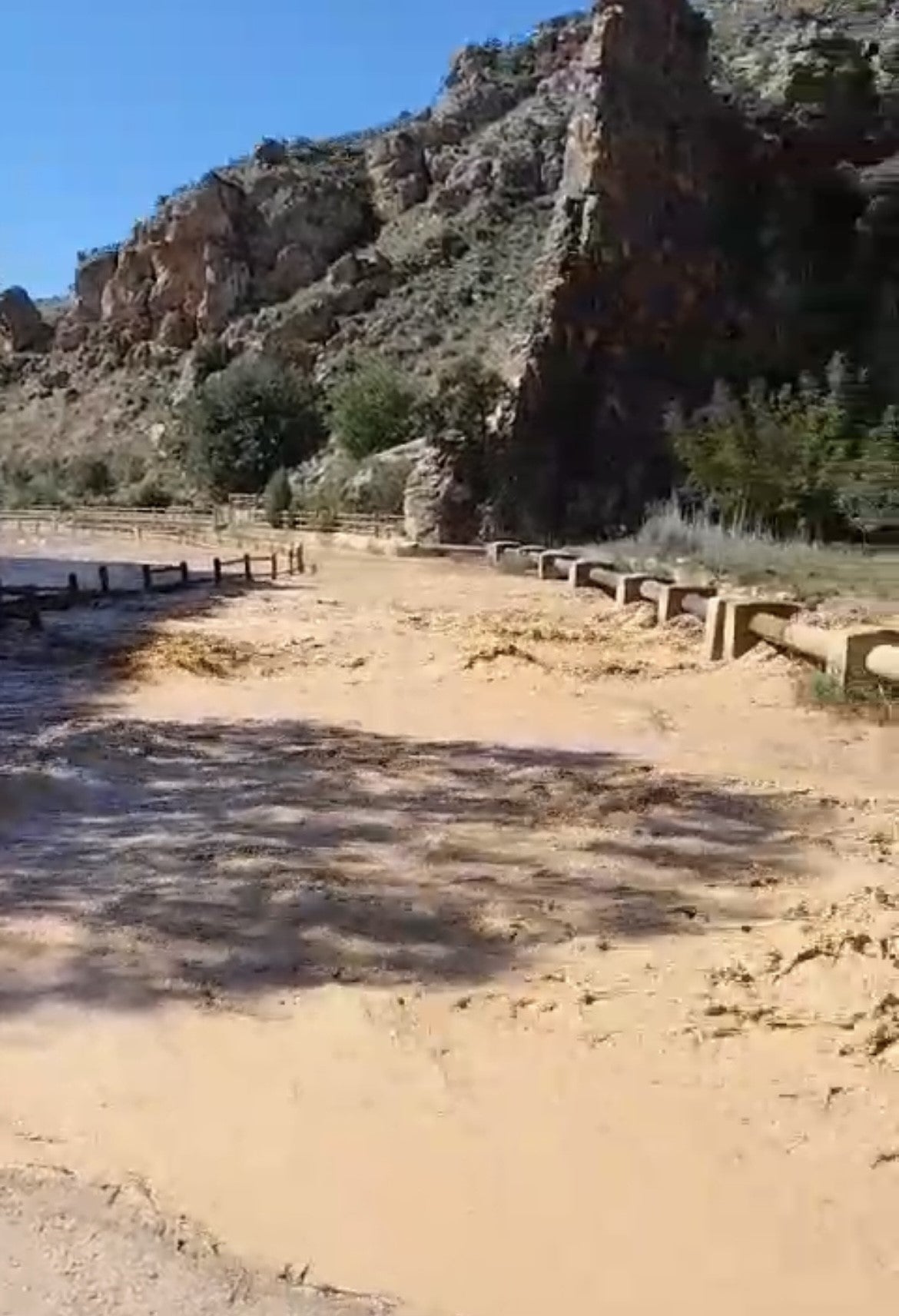 Pedirán que localidades de Cuenca y Albacete puedan sumarse a la declaración de zona catastrófica Pedirán que localidades de Cuenca y Albacete puedan sumarse a la declaración de zona catastrófica