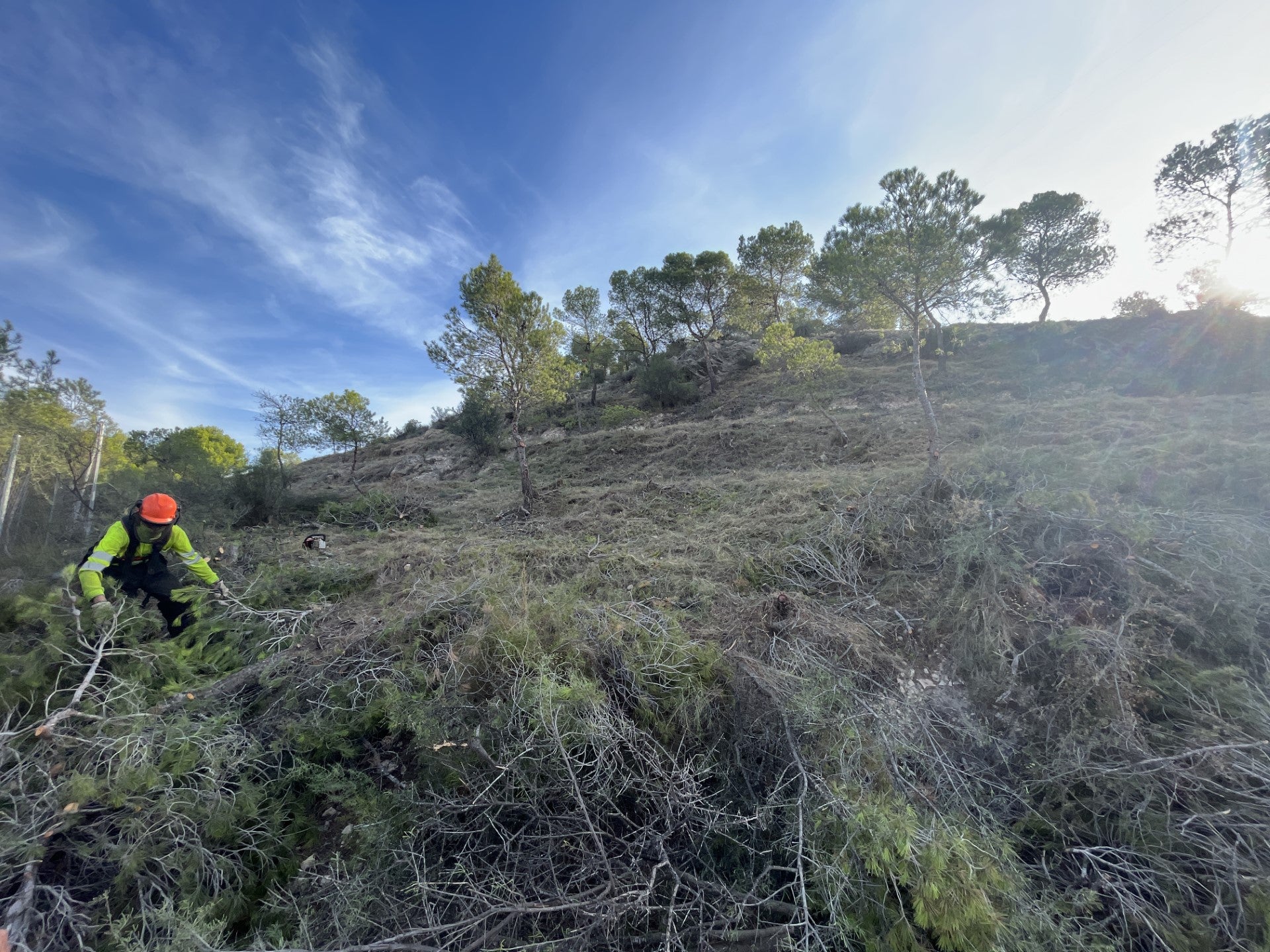 Petrer da un paso mas en su Plan de Prevención de Incendio forestales limpiando el perímetro norte y este de Loma Badá Petrer da un paso mas en su Plan de Prevención de Incendio forestales limpiando el perímetro norte y este de Loma Badá