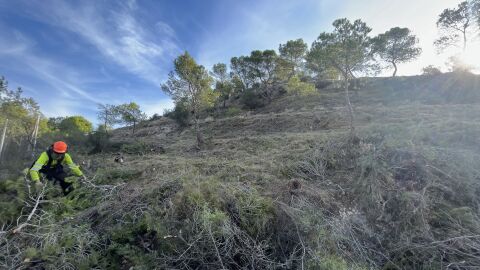 Trabajos de desbroce en Loma Bad&aacute;