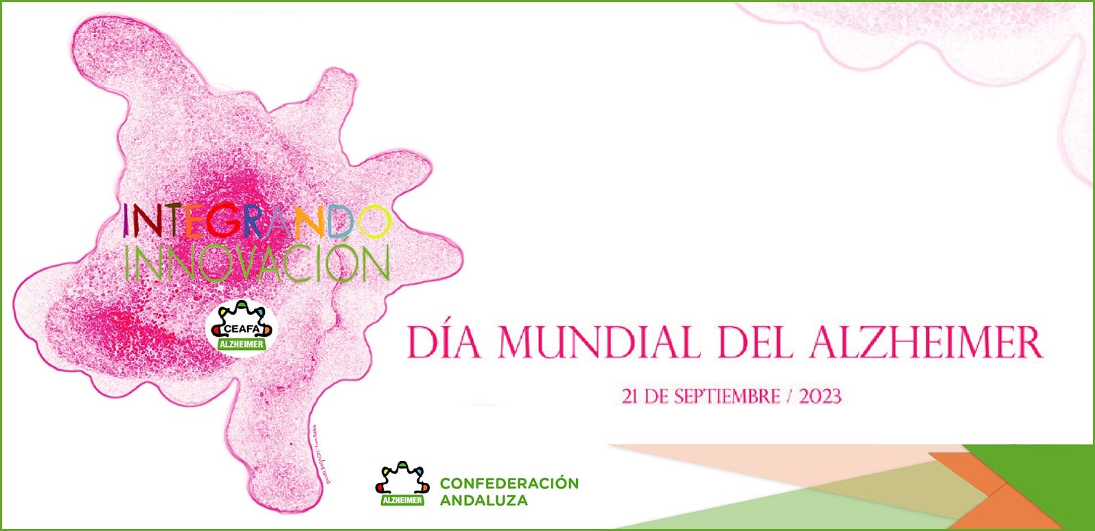 AFA Ciudad Real pide un impulso de la innovación y de la donación de tejido cerebral para luchar contra el Alzheimer AFA Ciudad Real pide un impulso de la innovación y de la donación de tejido cerebral para luchar contra el Alzheimer