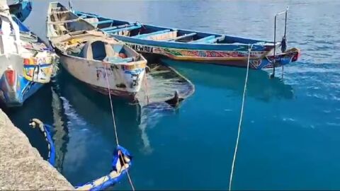 Pateras y cayucos se acumulan en el muelle de Arguineguín