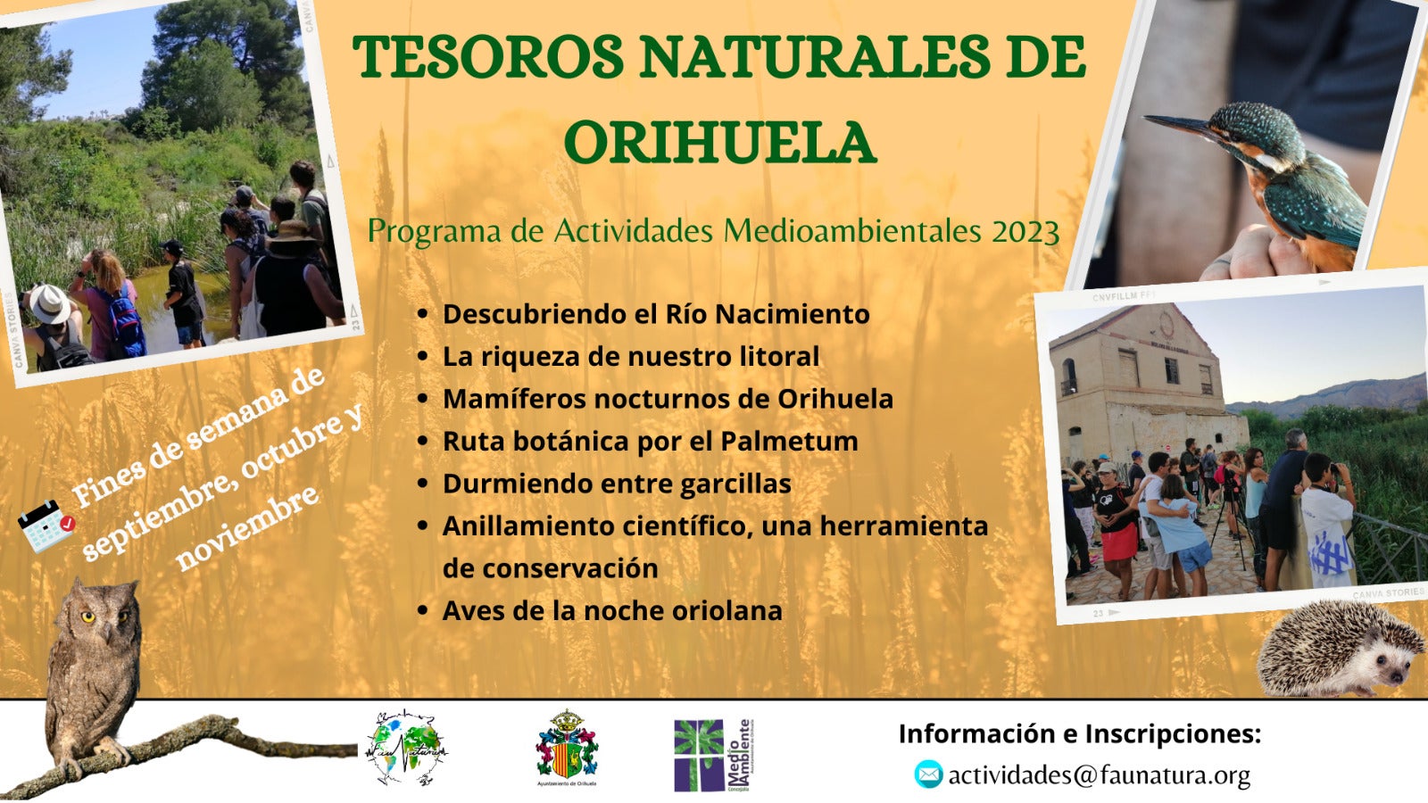 Medio Ambiente organiza siete rutas para conocer los “Tesoros Naturales” de Orihuela Medio Ambiente organiza siete rutas para conocer los “Tesoros Naturales” de Orihuela