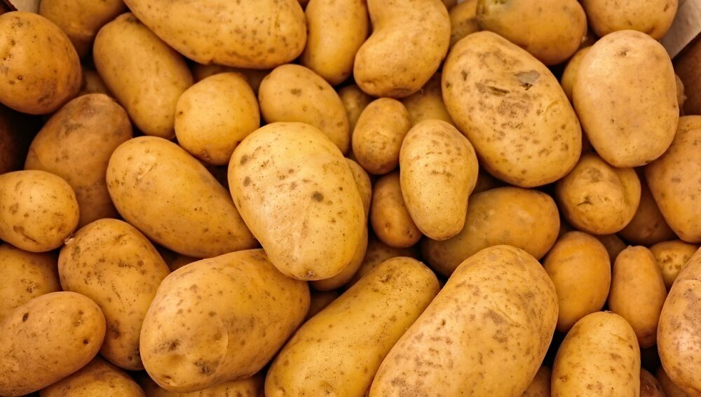 Canarias lista para importar papas desde Reino Unido pero siguiendo normas muy estrictas